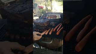 grilling day pork chops hot dogs chicken bratwurst [upl. by Hogan]