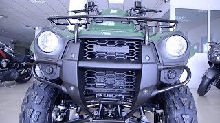 Обзор квадроцикла Kawasaki Brute Force 300 2017 года [upl. by Eromle]