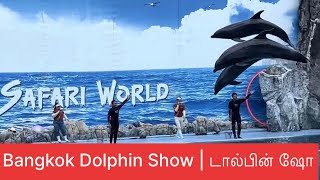 Bangkok Safari World Dolphin 🐬 Show  dolphinshow dolphins bangkok safariworldbangkok enjoy [upl. by Ahsenahs]