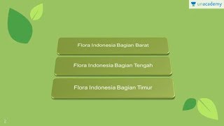 Persebaran Flora di Indonesia Geografi  SBMPTN UN SMA [upl. by Rudelson]