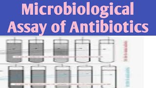 Microbiological Assay of Antibiotics Turbidimetrictube assay jitendrapatel assayofantibiotics [upl. by Kaylee]