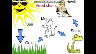 Organisms and environment igcse biology part 1 [upl. by Diraj]