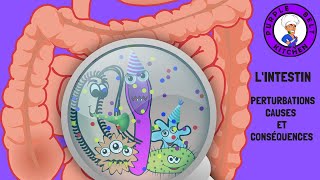 Intestin  Perturbations causes et conséquences [upl. by Nyasuh]