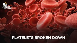 What are Platelets What happens if the platelets counts are high or low Apollo Hospitals [upl. by Yemaj]