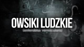 Te potwory żyją w nas Uwaga Wyjątkowo odrażające LOL [upl. by Aivital]