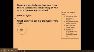 612 Patterns of Inheritance b Dihybrid Inheritance [upl. by Etnaik666]