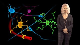 Beth Stevens Boston Children’s 1 Microglia States in Health and Disease [upl. by Holmen116]