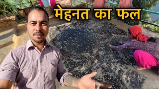 पहाड़ी जन जीवन और खूबसारी मेहनत village lifestyle vlog in Uttarakhand  sj family vlog  Sujan [upl. by Aemat]