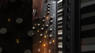 Moog Subsequent 37 Heavy synth electronicmusic music synthesizer moog moogsub37 moogmusic [upl. by Stokes]