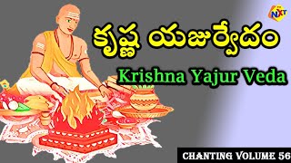 Krishna Yajur Veda కృష్ణ యజుర్వేదం Chanting Vol  56 Vedic Manthras వేద మంత్రాలు TVNXT Devotional [upl. by Asatan]