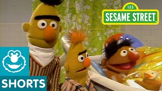 Sesame Street Bert And Ernie Water Sports [upl. by Annawad19]