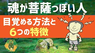 「 菩薩の魂 」が混じっている人の特徴６選と覚醒方法 [upl. by Nottage]