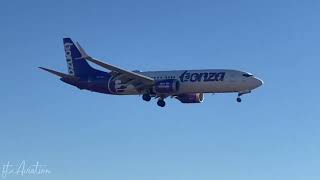 Bonza Boeing 737 MAX 8 Landing at Mildura Airport [upl. by Augustina]