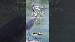 Surah Hasher 23  quranrecitation  ytshorts [upl. by Etnahc266]