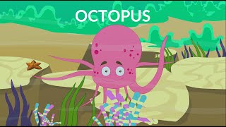 Learn about Octopus  Body Parts and Structure  Video for Kids [upl. by Aehcim211]