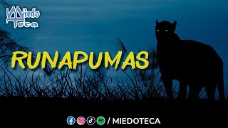 Transformación en la Oscura Selva Amazónica ✅ miedoteca  2466 [upl. by Arhoz212]