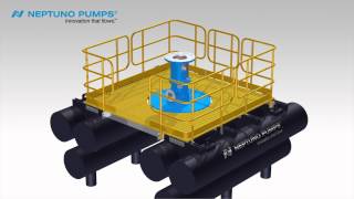 Neptuno Barge Pump System™ [upl. by Oconnor]