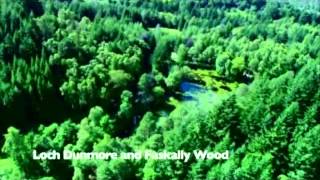 Big Tree Country  Highland Perthshire Highlights [upl. by Fabria]