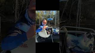 Fishing Lake Monduran Qld fishing barrafishing [upl. by Giltzow]