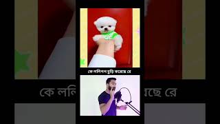 Hysterical Bengali Dog Reactions  Laugh Riot Guaranteed [upl. by Dleifniw]