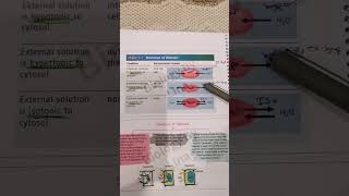 hypertonic and hypotonic biologypoli11biologygrade11 [upl. by Elodia]