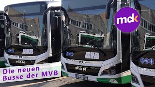 MVB NEUE BUSSE für Magdeburg  Nachrichten Kompakt [upl. by Lafleur]