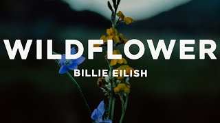 Billie Eilish  WILDFLOWER Lyrics [upl. by Karon]