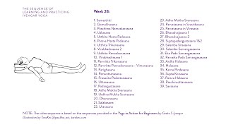 Week 28 Learning and Practicing Iyengar Yoga for Beginners [upl. by Sllew209]