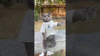 Dont Throw It✋ Its A Surprise Snack For The Squirrel🐿️🌰 catvideos catmemes trending [upl. by Anayd]