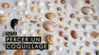 Tuto Comment percer un coquillage  Monter en bijou ses souvenirs de vancances [upl. by Azmuh]