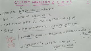 Ciliary Ganglion amp Oculomotor Nerve  1  Cranial Nerve  Neuro Anatomy  TCML [upl. by Ettenwahs88]