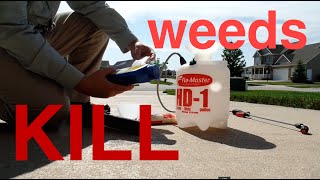 How To Kill Weeds In The Lawn  Spraying Weeds [upl. by Eldnek]