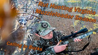 Rut Hunting Virginia Muzzleloader Season DEER EVERYWHERE Grunting In Bucks [upl. by Venable170]