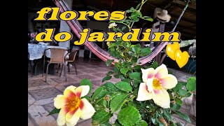 Tour no jardim com as flores de setembro 2024 [upl. by Ddart260]