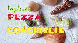 Come TOGLIERE PUZZA alle CONCHIGLIE [upl. by Chew767]