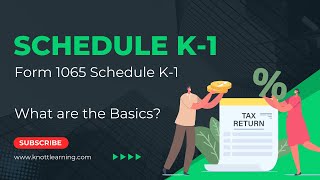 Schedule K1 Form 1065 Tax Return [upl. by Petrina]