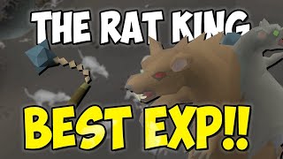 BEST COMBAT EXP The Rat King Guide 150K XPhr [upl. by Illyes293]