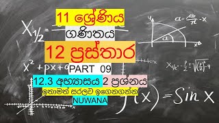 grade 11 maths 123 අභ්‍යාසය 2 ප්‍රශ්නය 12 ප්‍රස්තාර [upl. by Karolyn]