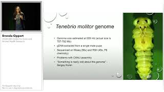 Feed the World Developing Genomic Resources for Insects as Food [upl. by Ellocin]