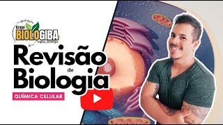 REVISÃO BIOLOGIA BIOLOGIBA 2024 Química Celular [upl. by Libbey]