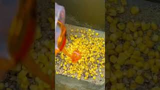 La mia pasturazione invernale carpfishing carp carpfishingvideos carpfishingitalia [upl. by Zavala]