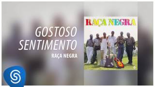 Raça Negra  Gostoso Sentimento Raça Negra Vol 3 Áudio Oficial [upl. by Yekcaj698]