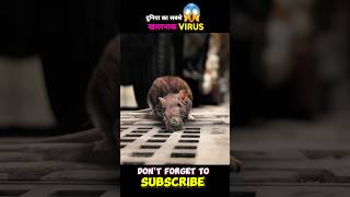 How this Mouse spread the virus throughout the city 😱😱 shorts [upl. by Sonnie999]