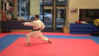 Warren Levi Karate  Taikyoku Shodan  Slow Speed [upl. by Whit]