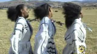 ethiopiamusic [upl. by Rellia]