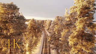 Punkaharjun harjutie The road of the century on a sunny winter day 4K UHD [upl. by Rosabella275]