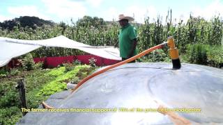 Agricultura orgánica con los biodigestores Sistema Biobolsa [upl. by Malvino]