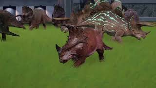 Jurassic World Evolution 2 Gameplay Big Ceratopsidae Fight [upl. by Jolenta]