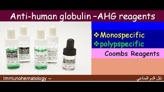 Lecture 111 Anti Human Globulin reagents AHG [upl. by Aicatsana]