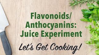 FlavonoidsAnthocyanins Juice Experiment [upl. by Adama382]